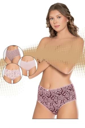 Belinay 3511 Kadın Yüksek Bel Bato Külot 4lü Paket