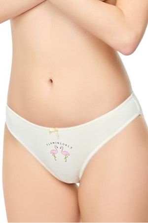 Belinay 0241 Flamingo Desenli Kadın Külot 6lı Paket