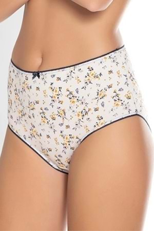 Belinay 3512 Kadın Yüksek Bel Bato Külot 4lü Paket